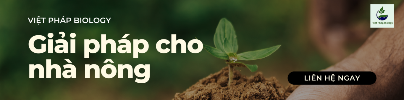 CÔNG TY TNHH XUẤT NHẬP KHẨU VIỆT PHÁP BIOLOGY