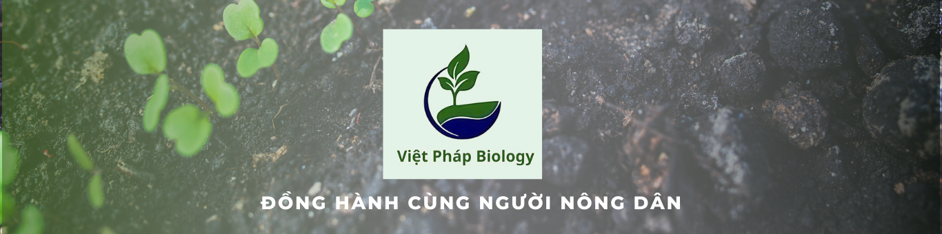 CÔNG TY TNHH XUẤT NHẬP KHẨU VIỆT PHÁP BIOLOGY