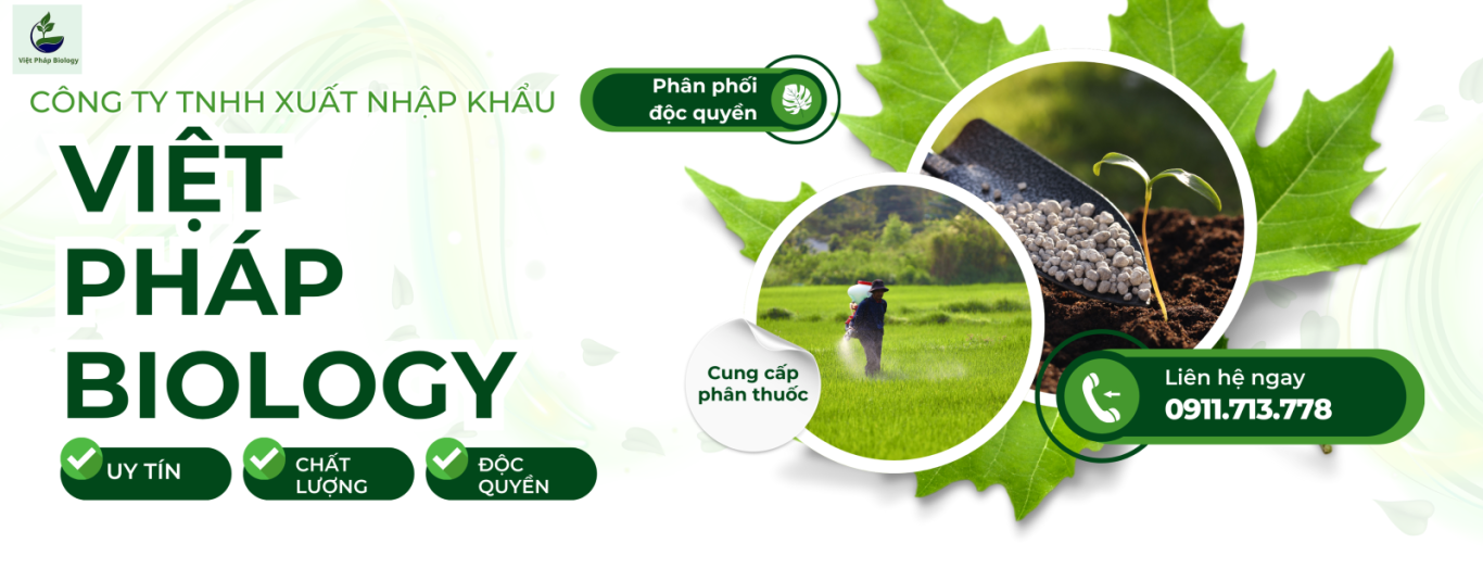 CÔNG TY TNHH XUẤT NHẬP KHẨU VIỆT PHÁP BIOLOGY