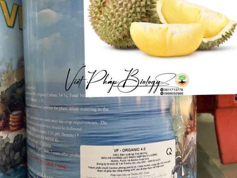 Sản phẩm Việt Pháp