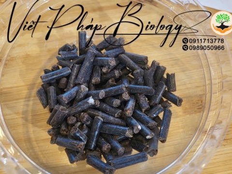 Sản phẩm Việt Pháp