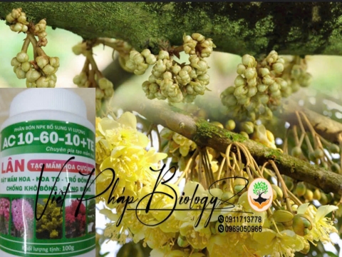 Sản phẩm Việt Pháp