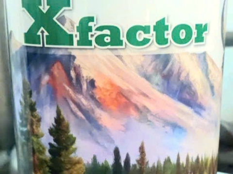 Hoạt động của Việt Pháp