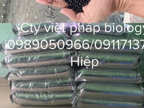 Hoạt động của Việt Pháp