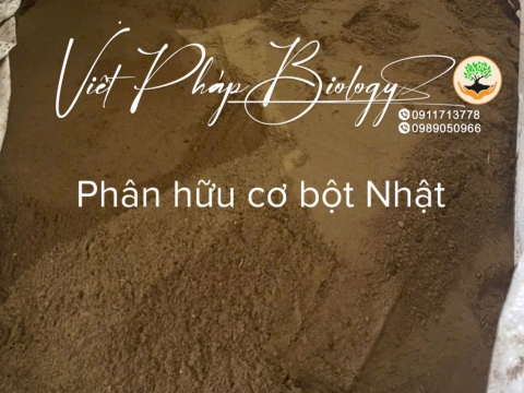 Hoạt động của Việt Pháp