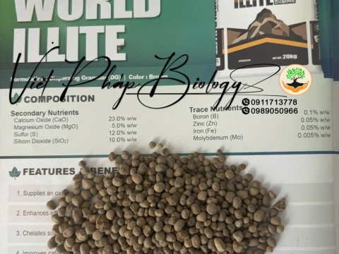 Hoạt động của Việt Pháp