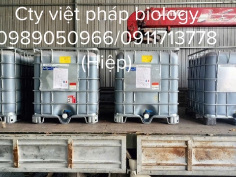 Hoạt động của Việt Pháp