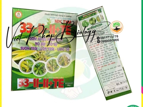 Hoạt động của Việt Pháp