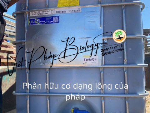 Hoạt động của Việt Pháp - 20/12 