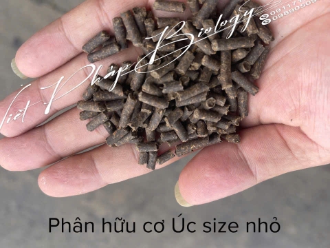 Hoạt động của Việt Pháp - 20/12 