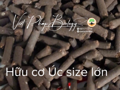 Hoạt động của Việt Pháp - 20/12 