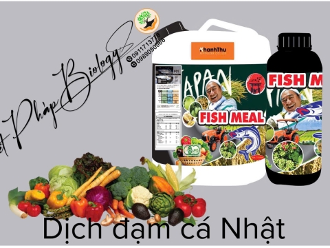 Hoạt động của Việt Pháp - 20/12 