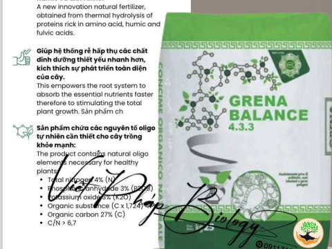 Hoạt động của Việt Pháp - 20/12 