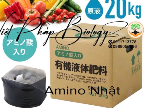 Hoạt động của Việt Pháp - 20/12 