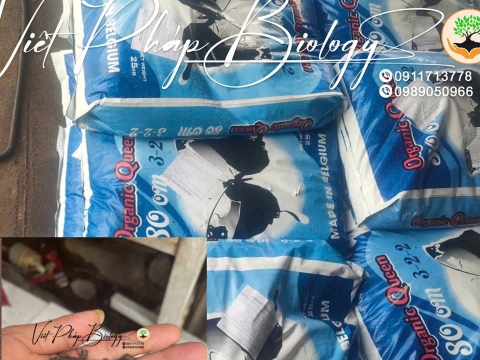 Hoạt động của Việt Pháp - 20/12 