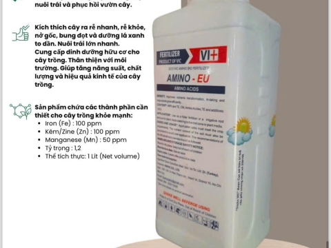 Hoạt động của Việt Pháp - 20/12 