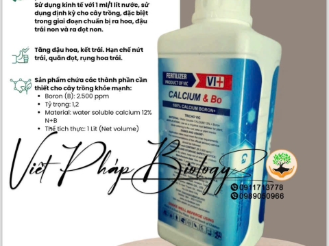 Hoạt động của Việt Pháp - 20/12 