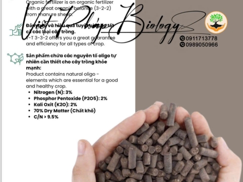 Hoạt động của Việt Pháp - 20/12 