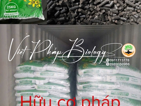 Hoạt động của Việt Pháp - 20/12 