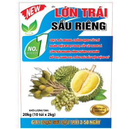 XO LỚN TRÁI SẦU RIÊNG 